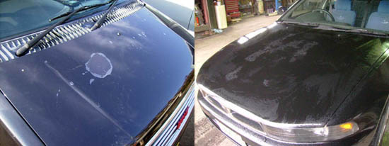 ボンネットの塗装 交換費用料金事例 車板金修理安くする方法